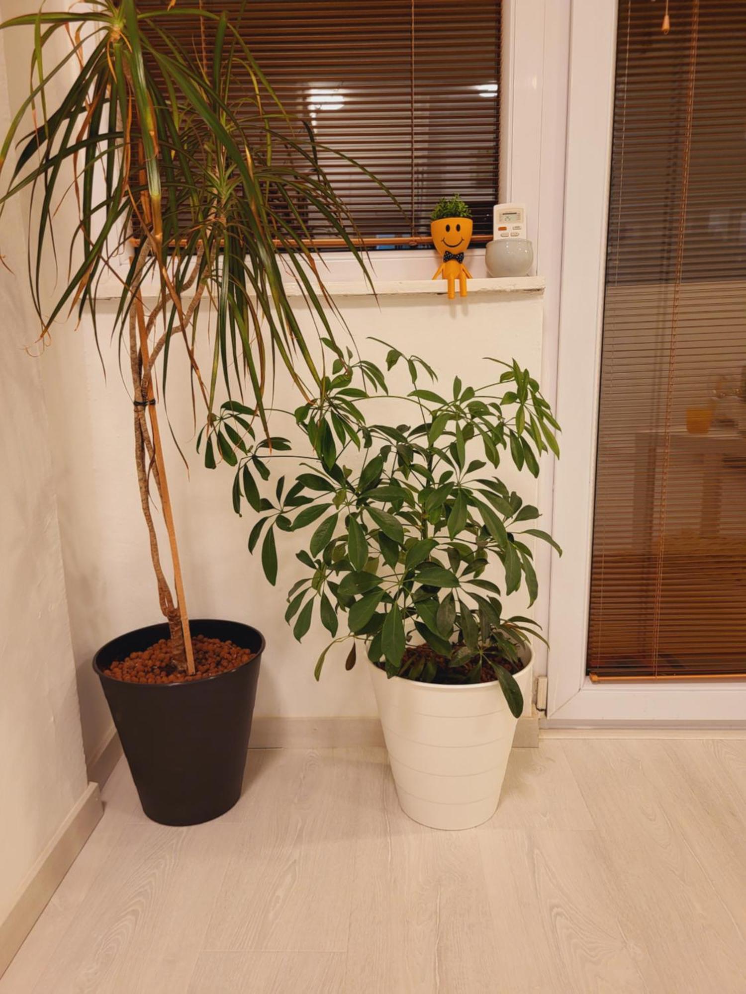 City Center White Apartment! Üsküp Dış mekan fotoğraf